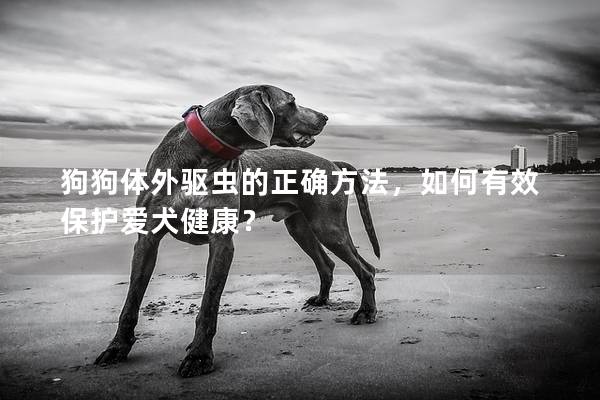 狗狗体外驱虫的正确方法，如何有效保护爱犬健康？