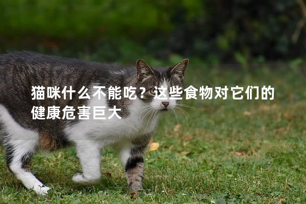 猫咪什么不能吃？这些食物对它们的健康危害巨大