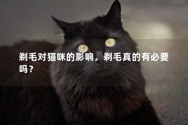 剃毛对猫咪的影响，剃毛真的有必要吗？