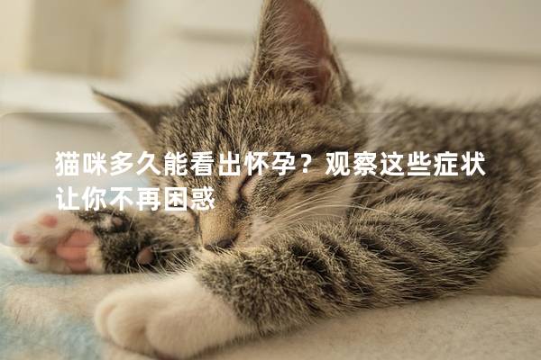 猫咪多久能看出怀孕？观察这些症状让你不再困惑