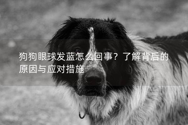 狗狗眼球发蓝怎么回事？了解背后的原因与应对措施