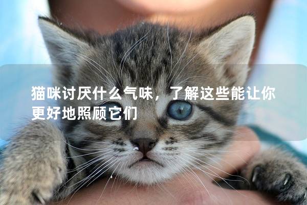 猫咪讨厌什么气味，了解这些能让你更好地照顾它们