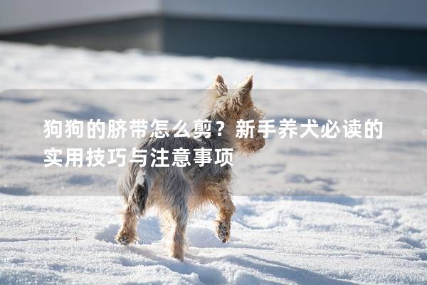 狗狗的脐带怎么剪?新手养犬必读的实用技巧与注意事项
