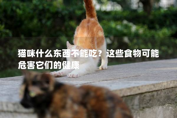 猫咪什么东西不能吃？这些食物可能危害它们的健康