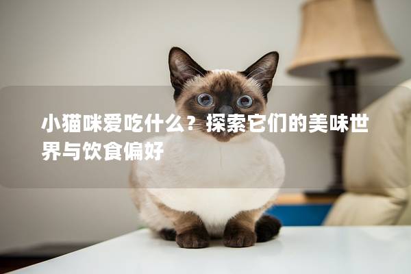 小猫咪爱吃什么？探索它们的美味世界与饮食偏好