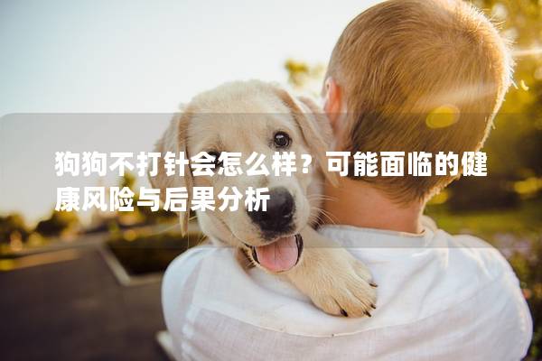 狗狗不打针会怎么样？可能面临的健康风险与后果分析