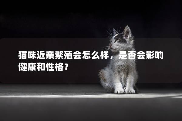 猫咪近亲繁殖会怎么样，是否会影响健康和性格？