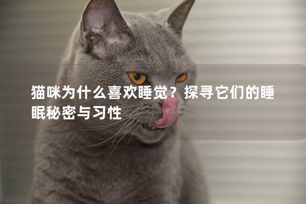 猫咪为什么喜欢睡觉？探寻它们的睡眠秘密与习性