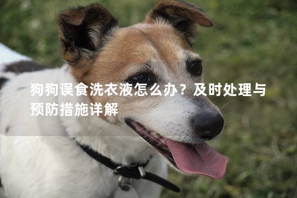 狗狗误食洗衣液怎么办？及时处理与预防措施详解