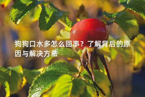 狗狗口水多怎么回事？了解背后的原因与解决方法