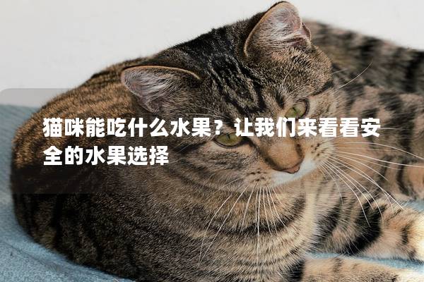 猫咪能吃什么水果？让我们来看看安全的水果选择