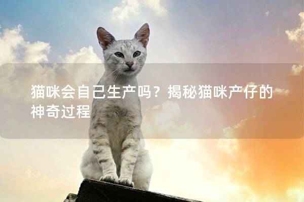 猫咪会自己生产吗？揭秘猫咪产仔的神奇过程