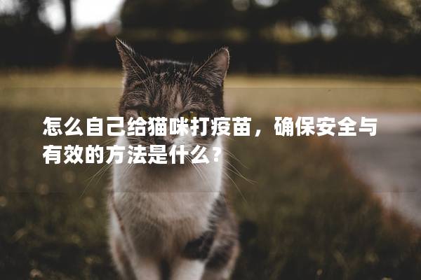 怎么自己给猫咪打疫苗，确保安全与有效的方法是什么？