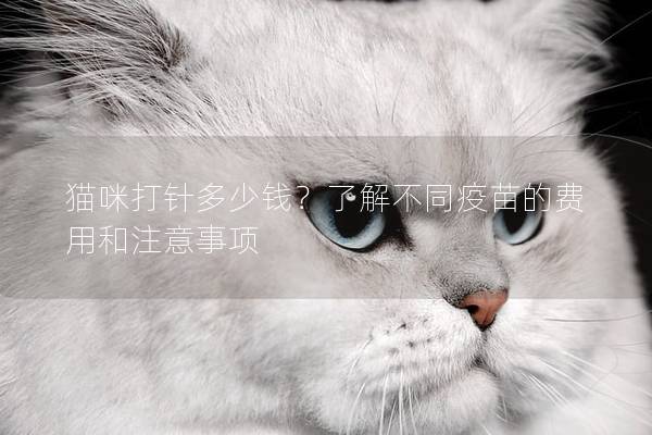 猫咪打针多少钱？了解不同疫苗的费用和注意事项