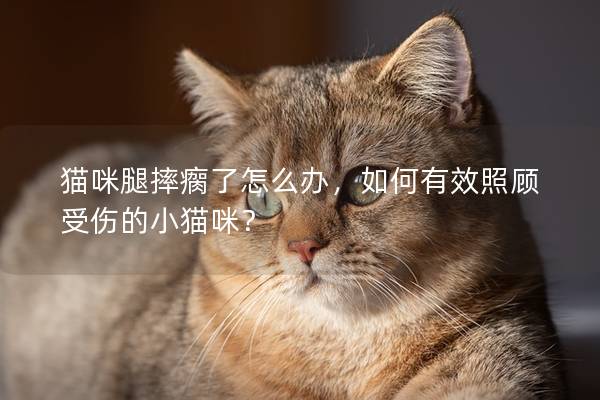 猫咪腿摔瘸了怎么办，如何有效照顾受伤的小猫咪？