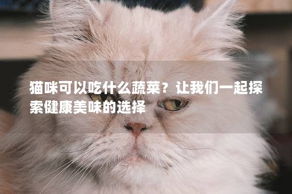 猫咪可以吃什么蔬菜？让我们一起探索健康美味的选择