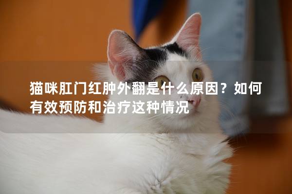 猫咪肛门红肿外翻是什么原因？如何有效预防和治疗这种情况