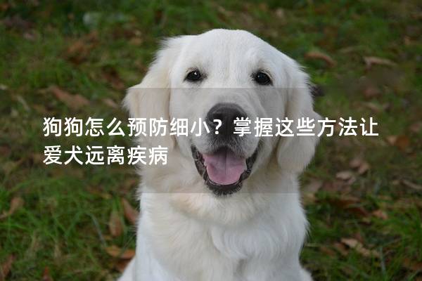 狗狗怎么预防细小？掌握这些方法让爱犬远离疾病