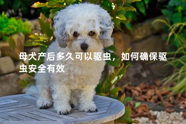 母犬产后多久可以驱虫，如何确保驱虫安全有效