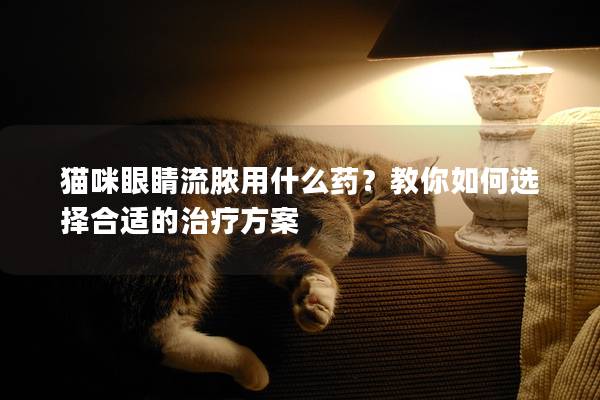 猫咪眼睛流脓用什么药？教你如何选择合适的治疗方案