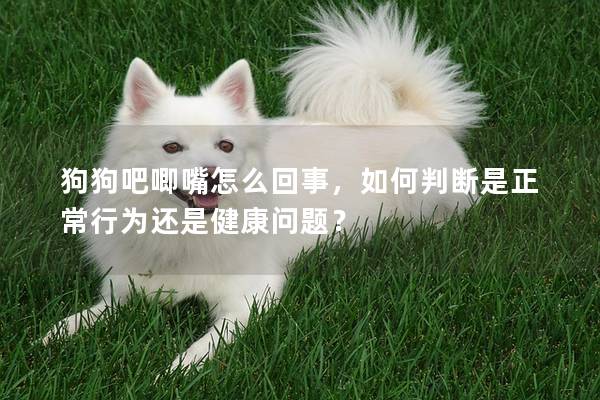 狗狗吧唧嘴怎么回事，如何判断是正常行为还是健康问题？