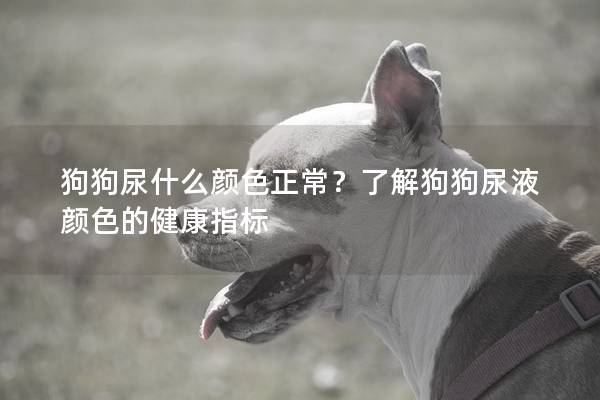 狗狗尿什么颜色正常？了解狗狗尿液颜色的健康指标