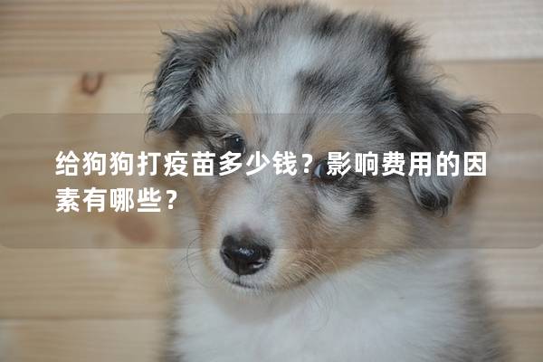 给狗狗打疫苗多少钱？影响费用的因素有哪些？