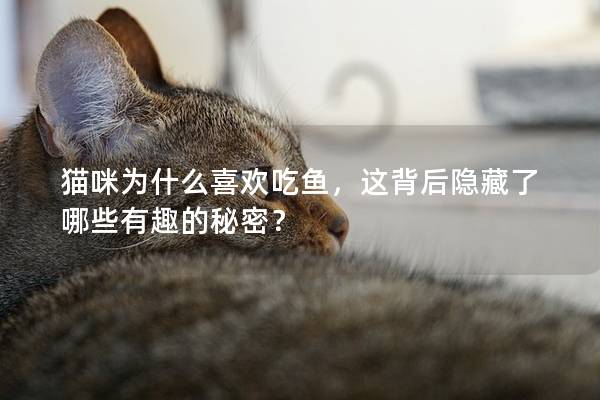 猫咪为什么喜欢吃鱼，这背后隐藏了哪些有趣的秘密？