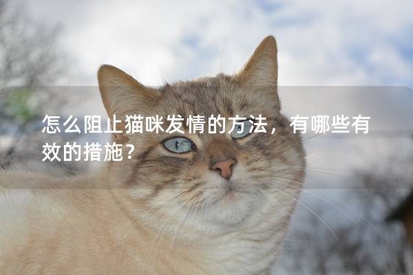 怎么阻止猫咪发情的方法，有哪些有效的措施？