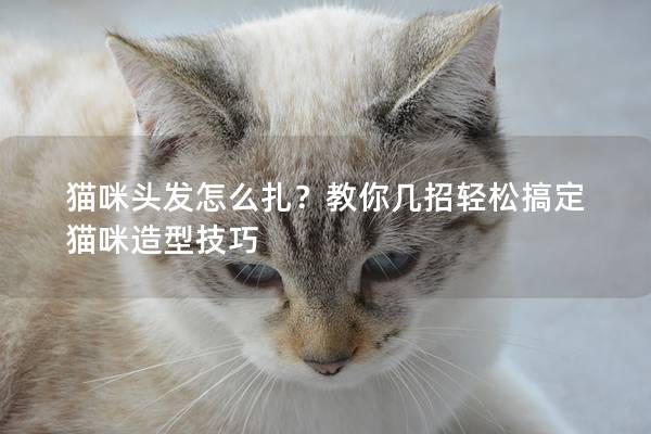 猫咪头发怎么扎？教你几招轻松搞定猫咪造型技巧