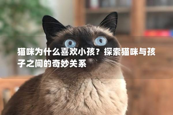 猫咪为什么喜欢小孩？探索猫咪与孩子之间的奇妙关系