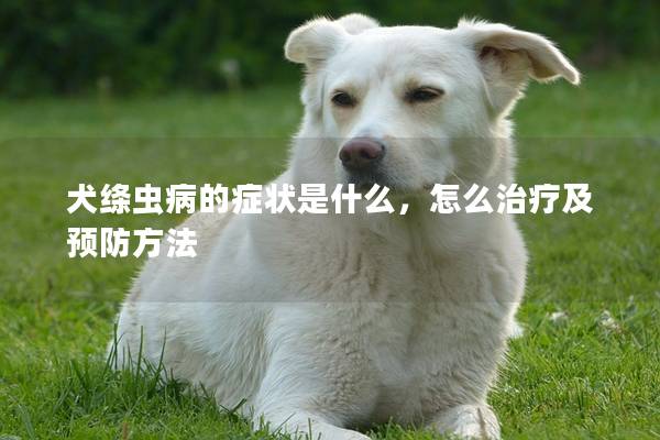 犬绦虫病的症状是什么，怎么治疗及预防方法