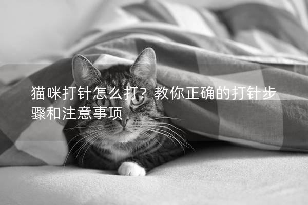 猫咪打针怎么打？教你正确的打针步骤和注意事项