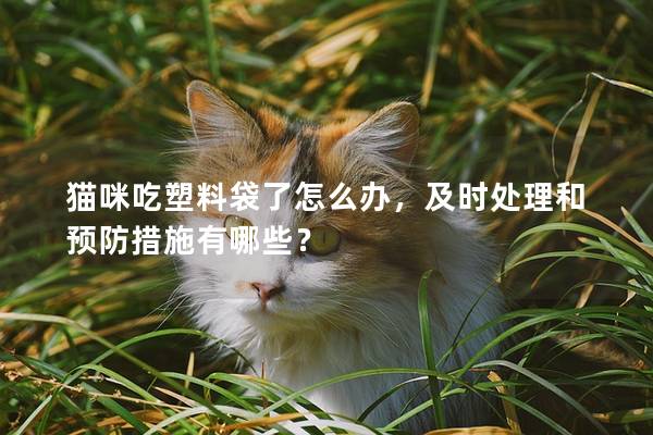 猫咪吃塑料袋了怎么办，及时处理和预防措施有哪些？