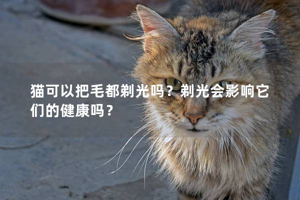 猫可以把毛都剃光吗？剃光会影响它们的健康吗？