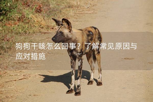 狗狗干咳怎么回事？了解常见原因与应对措施