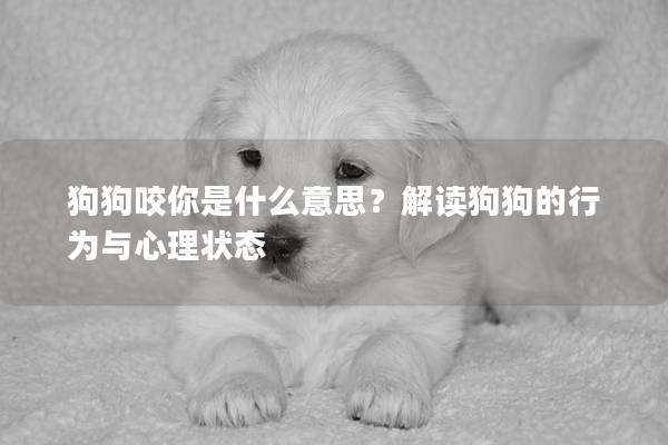 狗狗咬你是什么意思？解读狗狗的行为与心理状态