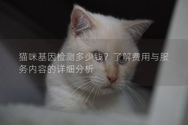 猫咪基因检测多少钱？了解费用与服务内容的详细分析