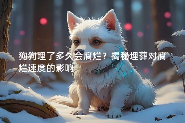 狗狗埋了多久会腐烂？揭秘埋葬对腐烂速度的影响