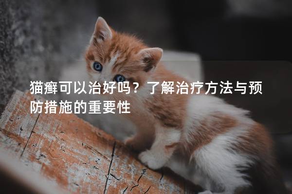 猫癣可以治好吗？了解治疗方法与预防措施的重要性