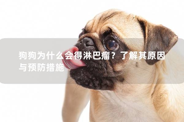 狗狗为什么会得淋巴瘤?了解其原因与预防措施