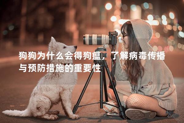 狗狗为什么会得狗瘟,了解病毒传播与预防措施的重要性