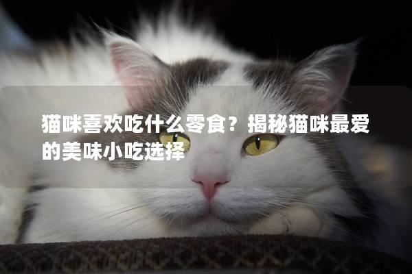 猫咪喜欢吃什么零食？揭秘猫咪最爱的美味小吃选择