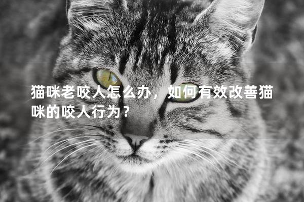 猫咪老咬人怎么办，如何有效改善猫咪的咬人行为？