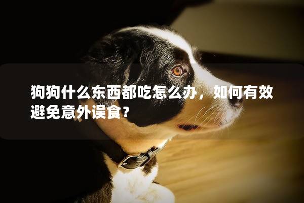 狗狗什么东西都吃怎么办，如何有效避免意外误食？