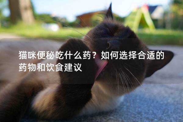 猫咪便秘吃什么药？如何选择合适的药物和饮食建议