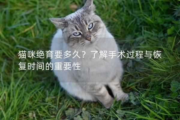 猫咪绝育要多久？了解手术过程与恢复时间的重要性