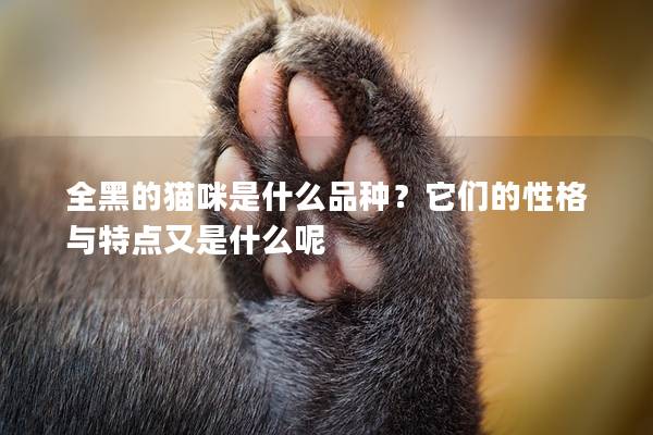 全黑的猫咪是什么品种？它们的性格与特点又是什么呢