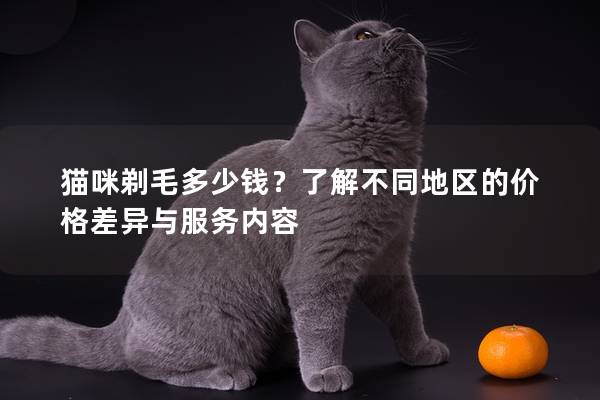 猫咪剃毛多少钱？了解不同地区的价格差异与服务内容