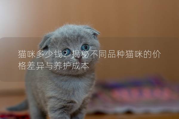 猫咪多少钱？揭秘不同品种猫咪的价格差异与养护成本